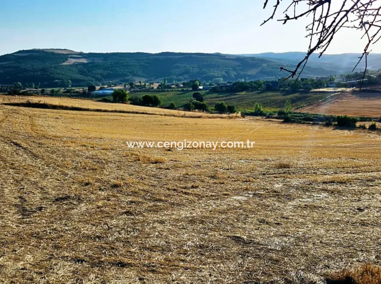 Azyaport Port Is Close To The Existing Zoning 16.100 Emergency Sale Investment Bargain Coupon Field