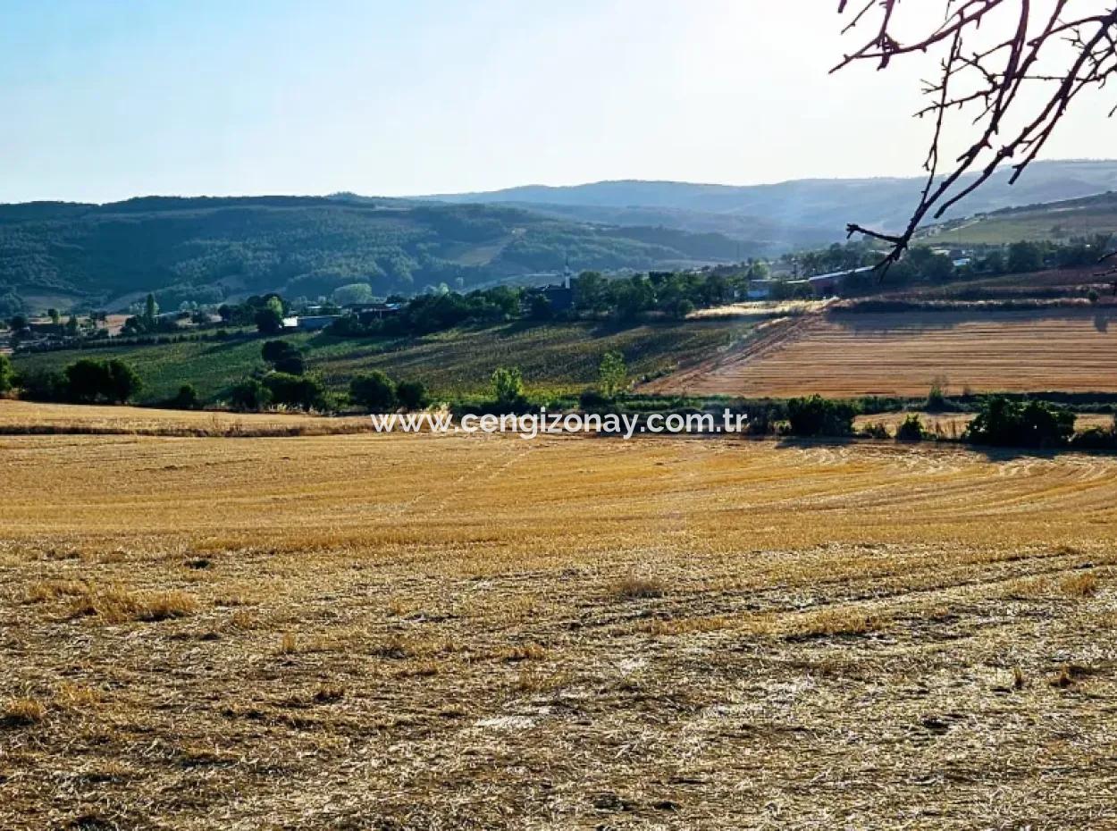 Azyaport Port Is Close To The Existing Zoning 16.100 Emergency Sale Investment Bargain Coupon Field