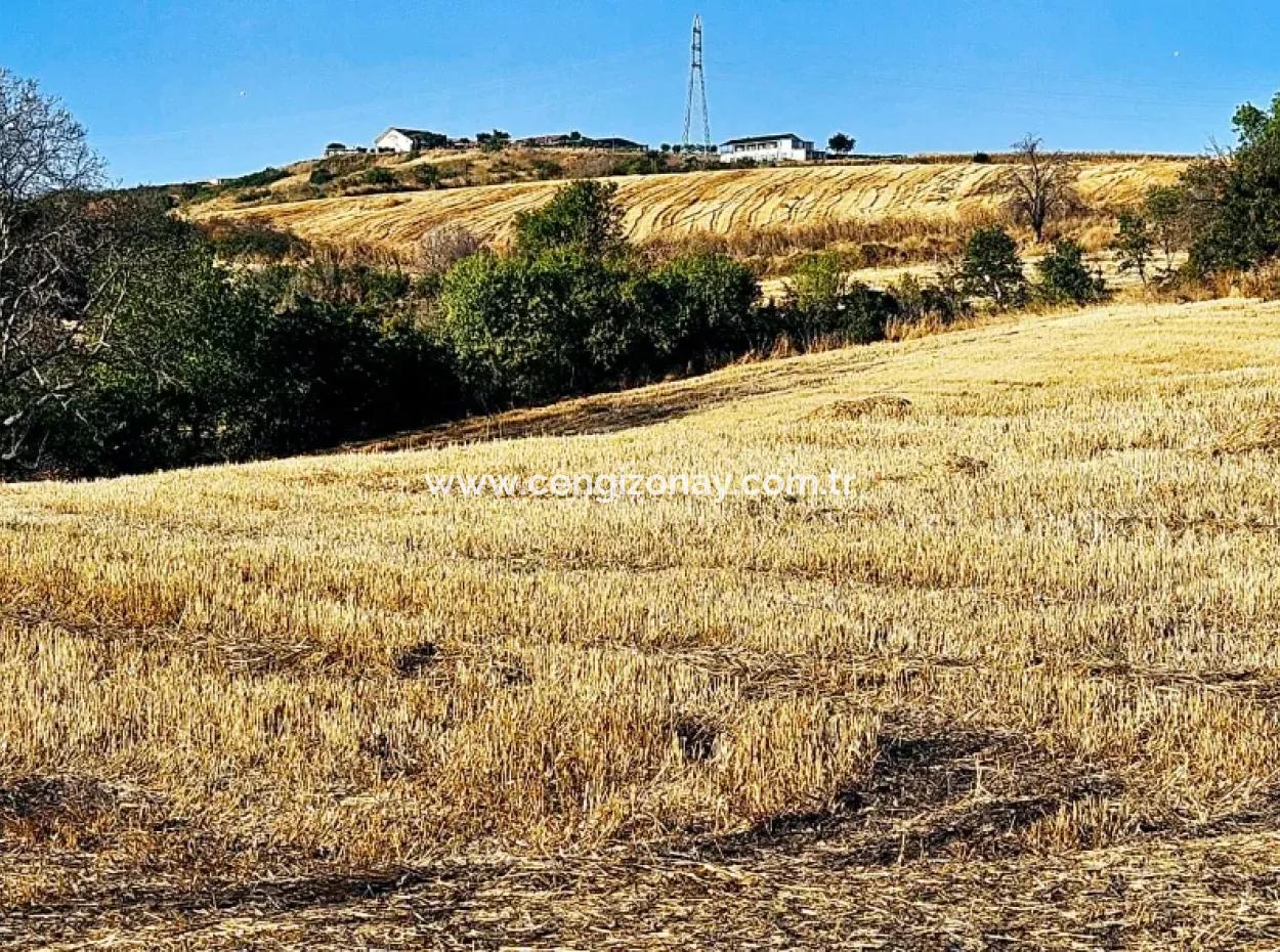 Azyaport Port Is Close To The Existing Zoning 16.100 Emergency Sale Investment Bargain Coupon Field