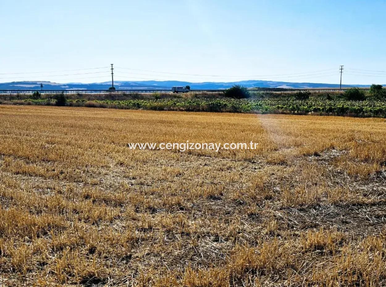 Asyaport Port Is Within The Current Zoning Plan ( Commercial