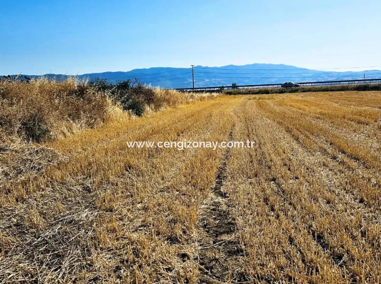 Asyaport Port Is Within The Current Zoning Plan ( Commercial