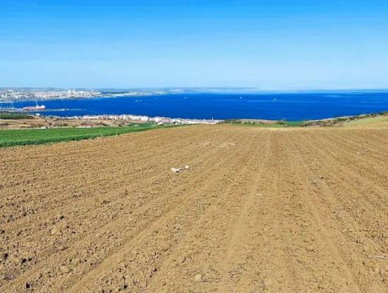 Tekirdag Barbarosta Luxury Villa Project Yap. Give A Flat To The Contractors And Make A High Profit Villa With Full Sea View Zoned Land