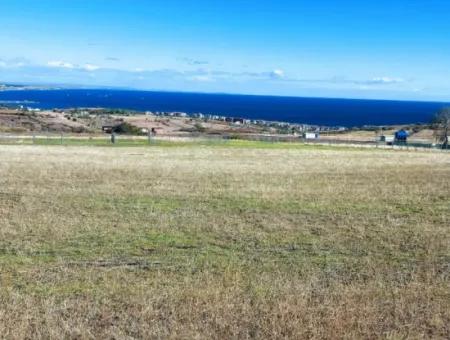 Apply Luxury Villa Project For Urgent Sale Provide High Kaznç Location Magnificent Completely Full Sea And Nature View