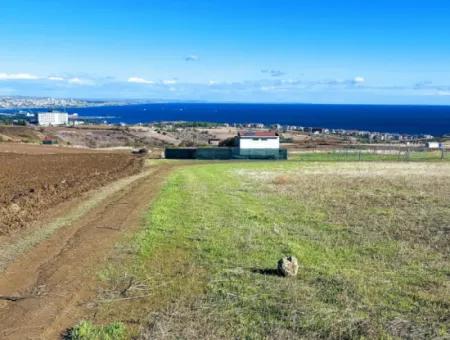 Apply Luxury Villa Project For Urgent Sale Provide High Kaznç Location Magnificent Completely Full Sea And Nature View