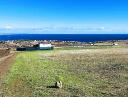 Apply Luxury Villa Project For Urgent Sale Provide High Kaznç Location Magnificent Completely Full Sea And Nature View