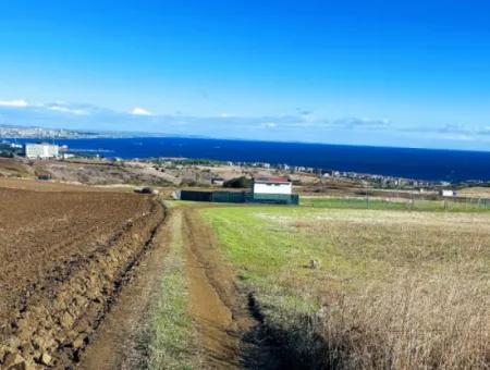 Apply Luxury Villa Project For Urgent Sale Provide High Kaznç Location Magnificent Completely Full Sea And Nature View