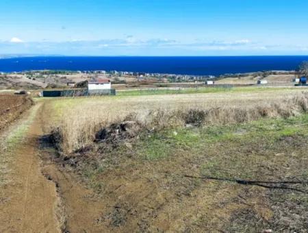 Apply Luxury Villa Project For Urgent Sale Provide High Kaznç Location Magnificent Completely Full Sea And Nature View