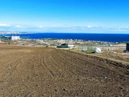 Apply Luxury Villa Project For Urgent Sale Provide High Kaznç Location Magnificent Completely Full Sea And Nature View
