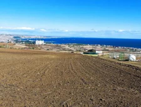 Apply Luxury Villa Project For Urgent Sale Provide High Kaznç Location Magnificent Completely Full Sea And Nature View