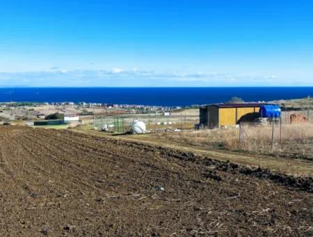 Apply Luxury Villa Project For Urgent Sale Provide High Kaznç Location Magnificent Completely Full Sea And Nature View