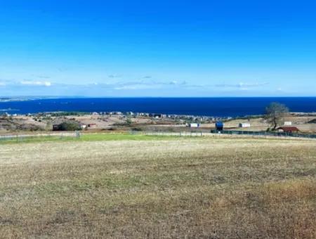 Apply Luxury Villa Project For Urgent Sale Provide High Kaznç Location Magnificent Completely Full Sea And Nature View