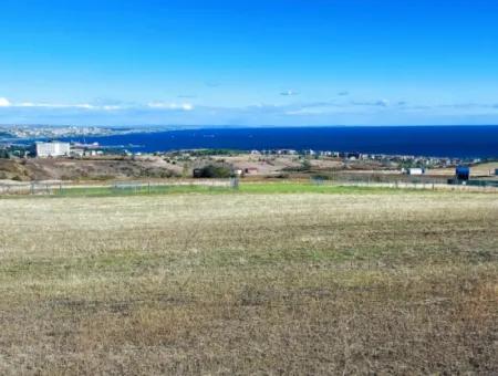 Apply Luxury Villa Project For Urgent Sale Provide High Kaznç Location Magnificent Completely Full Sea And Nature View