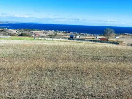 Apply Luxury Villa Project For Urgent Sale Provide High Kaznç Location Magnificent Completely Full Sea And Nature View