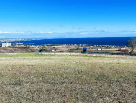 Apply Luxury Villa Project For Urgent Sale Provide High Kaznç Location Magnificent Completely Full Sea And Nature View