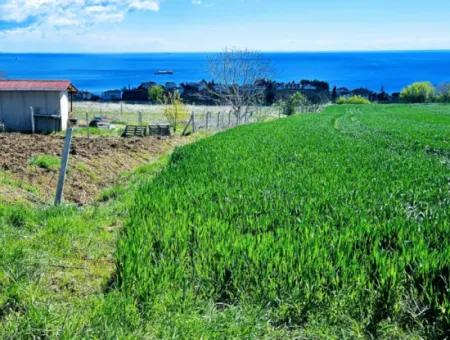 Apply A Luxury Project For Urgent Sale In Tekirdag Barbarosta Build A Wonderful Cooperative Site With Full Sea And Nature Views. High Profit Guarantee