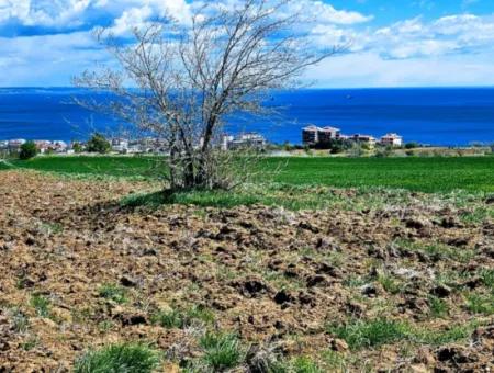 This Opportunity Cannot Be Missed** Full Sea And Nature View** Apply Luxury Project Whether You Build A House Or A Villa** High Profit Guarantee