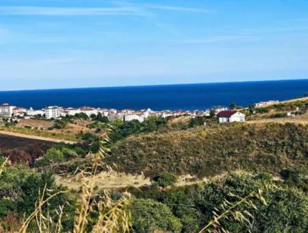 1,150 Sqm Plot Close To Ramada Hotel In Tekirdag Suleymanpasa Barbaros - Topagac