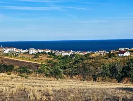 1,150 Sqm Plot Close To Ramada Hotel In Tekirdag Suleymanpasa Barbaros - Topagac
