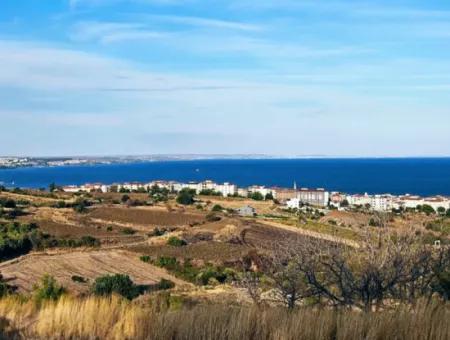 1,150 Sqm Plot Close To Ramada Hotel In Tekirdag Suleymanpasa Barbaros - Topagac
