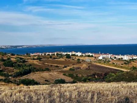 1,150 Sqm Plot Close To Ramada Hotel In Tekirdag Suleymanpasa Barbaros - Topagac