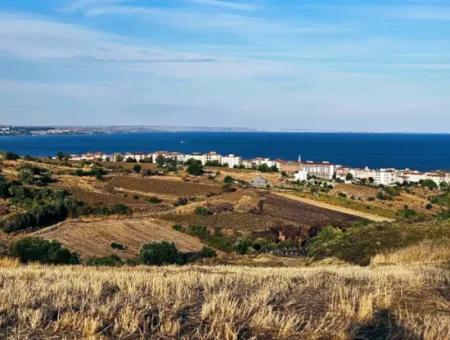1,150 Sqm Plot Close To Ramada Hotel In Tekirdag Suleymanpasa Barbaros - Topagac