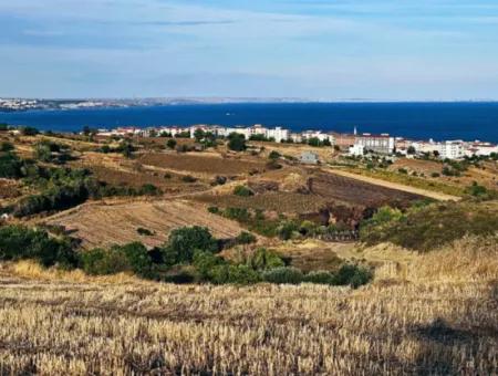 1,150 Sqm Plot Close To Ramada Hotel In Tekirdag Suleymanpasa Barbaros - Topagac