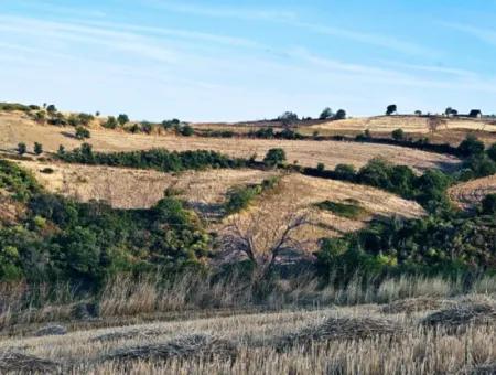 1,150 Sqm Plot Close To Ramada Hotel In Tekirdag Suleymanpasa Barbaros - Topagac
