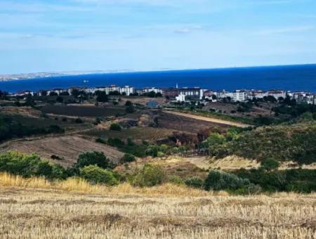 1,150 Sqm Plot Close To Ramada Hotel In Tekirdag Suleymanpasa Barbaros - Topagac
