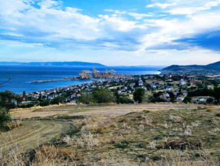 Coupon Land For Urgent Sale Suitable For Building Your Detached House With Wonderful Sea View In Tekirdag Barbarosta