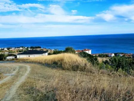 Coupon Land For Urgent Sale Suitable For Building Your Detached House With Wonderful Sea View In Tekirdag Barbarosta