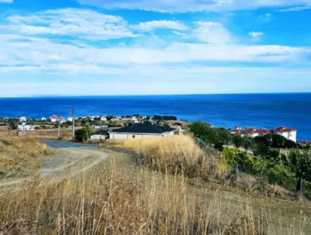 Coupon Land For Urgent Sale Suitable For Building Your Detached House With Wonderful Sea View In Tekirdag Barbarosta