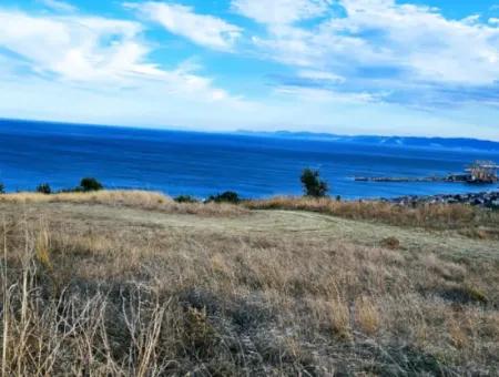 Coupon Land For Urgent Sale Suitable For Building Your Detached House With Wonderful Sea View In Tekirdag Barbarosta