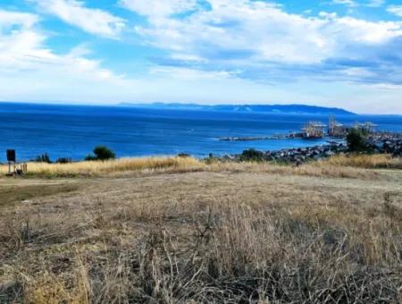 Coupon Land For Urgent Sale Suitable For Building Your Detached House With Wonderful Sea View In Tekirdag Barbarosta