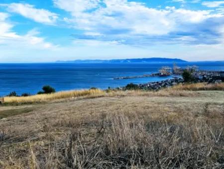 Coupon Land For Urgent Sale Suitable For Building Your Detached House With Wonderful Sea View In Tekirdag Barbarosta