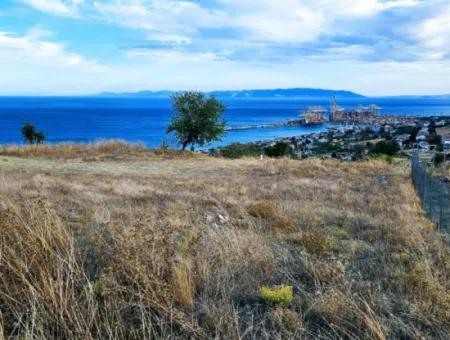 Coupon Land For Urgent Sale Suitable For Building Your Detached House With Wonderful Sea View In Tekirdag Barbarosta