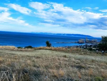 Coupon Land For Urgent Sale Suitable For Building Your Detached House With Wonderful Sea View In Tekirdag Barbarosta