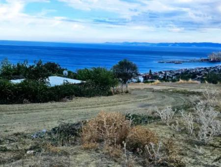 Coupon Land For Urgent Sale Suitable For Building Your Detached House With Wonderful Sea View In Tekirdag Barbarosta