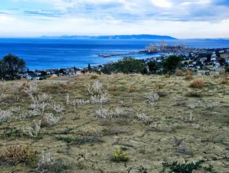 Coupon Land For Urgent Sale Suitable For Building Your Detached House With Wonderful Sea View In Tekirdag Barbarosta