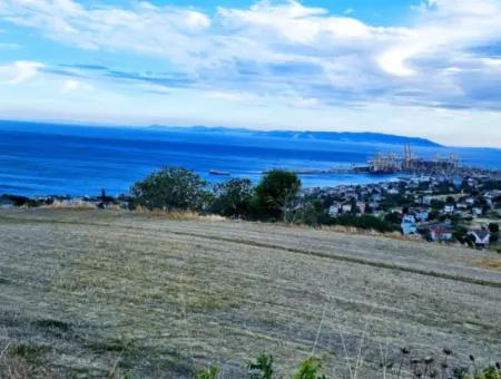 Coupon Land For Urgent Sale Suitable For Building Your Detached House With Wonderful Sea View In Tekirdag Barbarosta