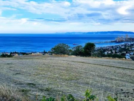 Coupon Land For Urgent Sale Suitable For Building Your Detached House With Wonderful Sea View In Tekirdag Barbarosta