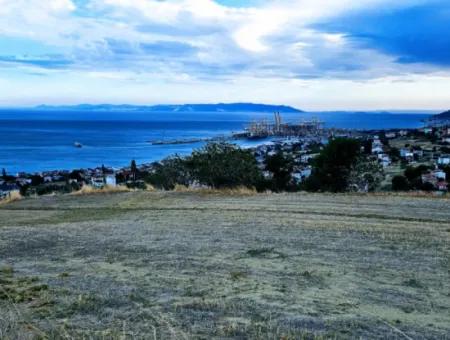 Coupon Land For Urgent Sale Suitable For Building Your Detached House With Wonderful Sea View In Tekirdag Barbarosta