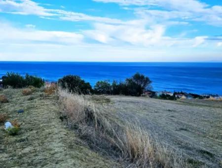 Coupon Land For Urgent Sale Suitable For Building Your Detached House With Wonderful Sea View In Tekirdag Barbarosta
