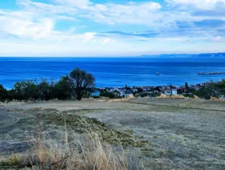 Coupon Land For Urgent Sale Suitable For Building Your Detached House With Wonderful Sea View In Tekirdag Barbarosta