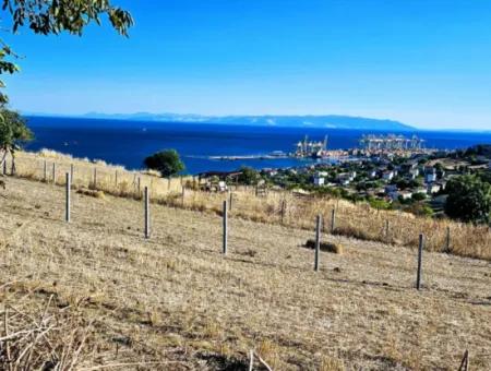 Full Sea View Swap Cash 765 M2 Opportunity Coupon Plot For Urgent Sale