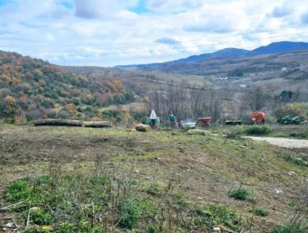 Opportunity Corner Land For Enthusiasts Who Want To Build A Village House For Urgent Sale