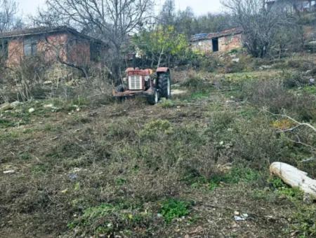 Opportunity Corner Land For Enthusiasts Who Want To Build A Village House For Urgent Sale