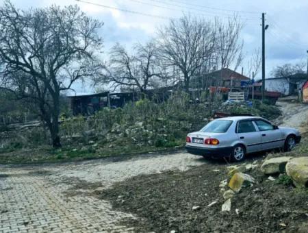 Opportunity Corner Land For Enthusiasts Who Want To Build A Village House For Urgent Sale
