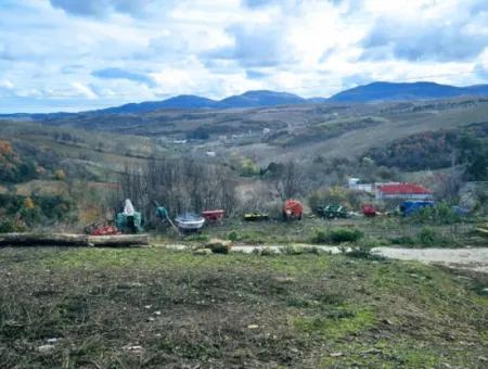 Opportunity Corner Land For Enthusiasts Who Want To Build A Village House For Urgent Sale