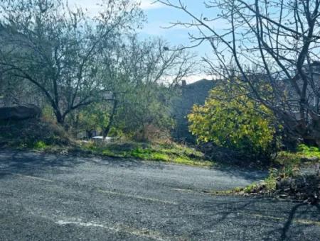 2 Plots Of Land For Urgent Sale 2 Detached Houses Suitable For Building Coupon Land