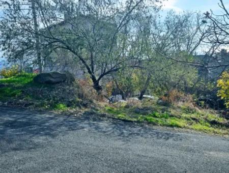 2 Plots Of Land For Urgent Sale 2 Detached Houses Suitable For Building Coupon Land